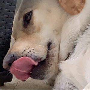 Meet your Posher, Austin